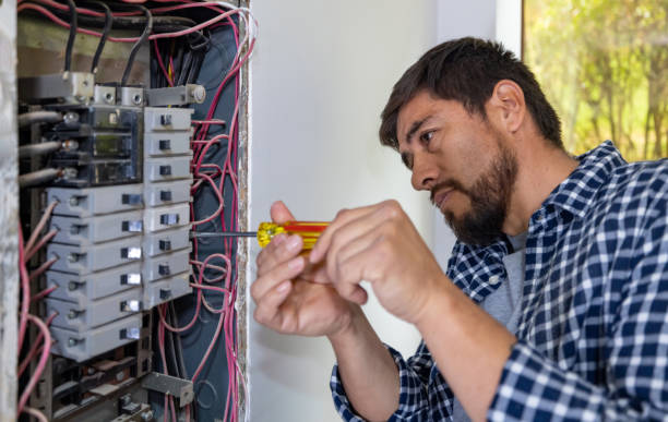 Best Electric Panel Repair  in Arcadia, LA